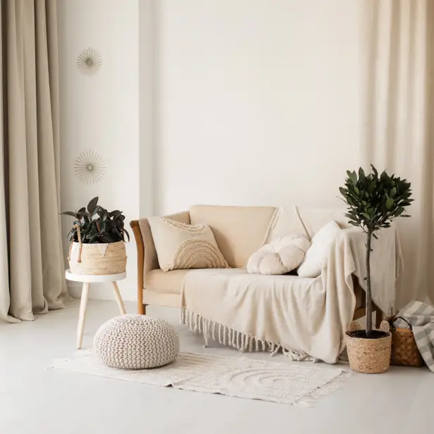 VIKNO studio photo 1