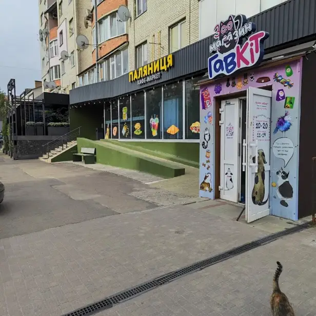ГавКіт грумінг photo 1