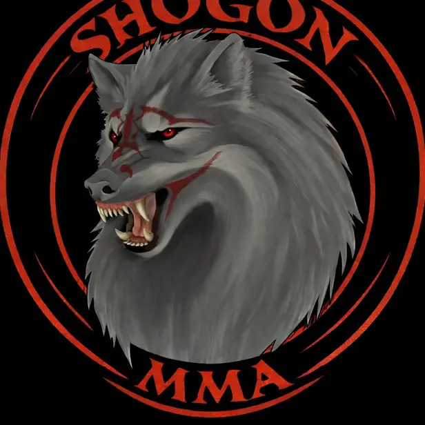 Shogon MMA GbR photo 1