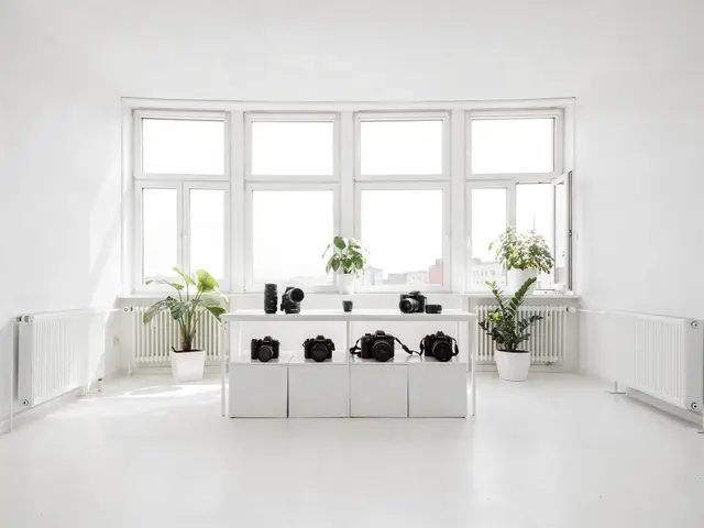 Dessau in Bildern festhalten