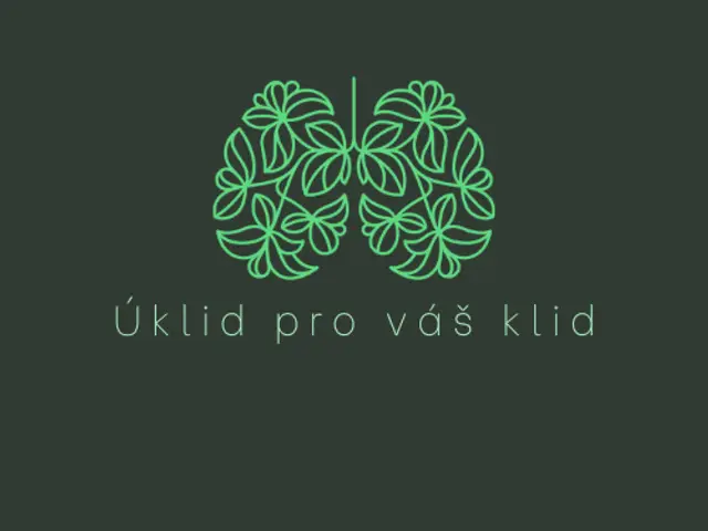Úklid v Praze: kde hledat