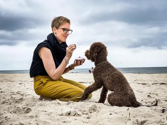 Hundeschule in Berlin: wo du suchen kannst