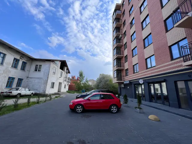 Грумінг у Києві: де шукати