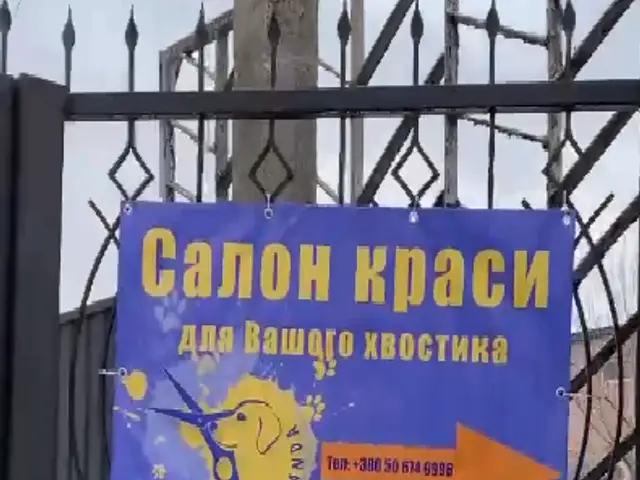 Груминг в Лубнах: где искать