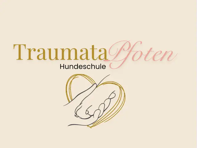 Hundeschule in Köln: wo du suchen kannst