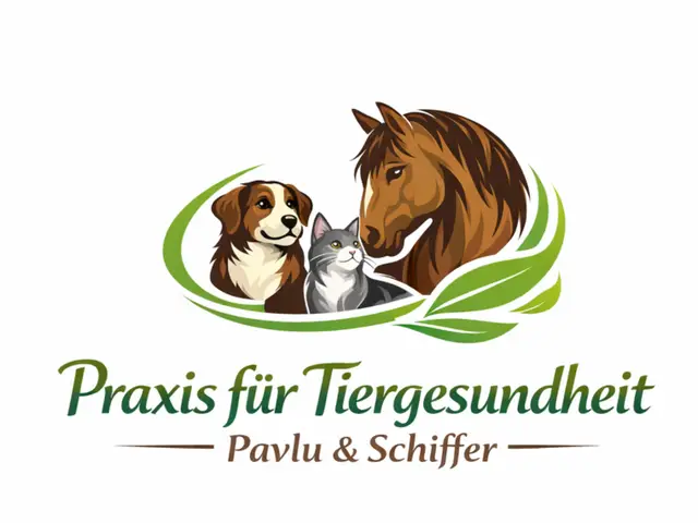 Tierphysiotherapie in Göttingen: wo du suchen kannst