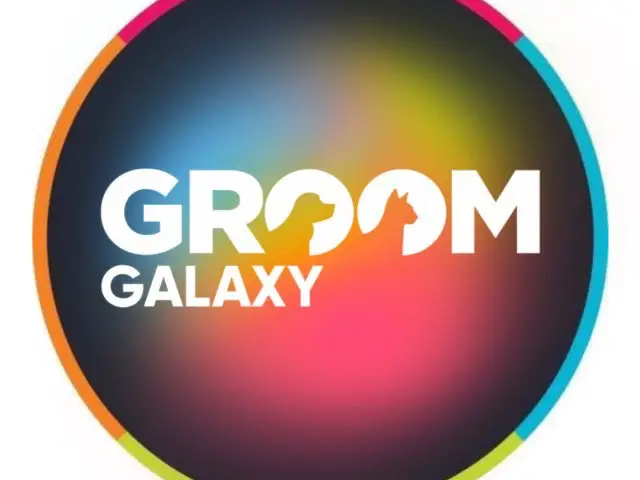 Groomer w Gdańsku: gdzie szukać