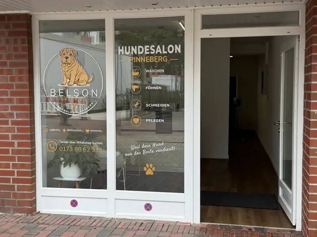 Hundefriseur in Hamburg: wo du suchen kannst