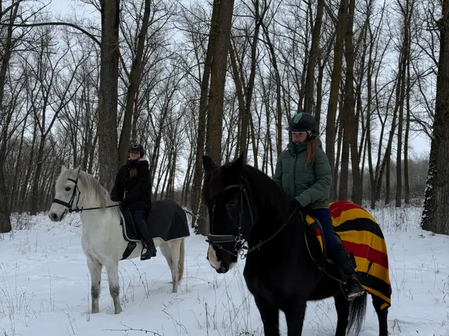 Кінний спорт у Чернігові: де шукати