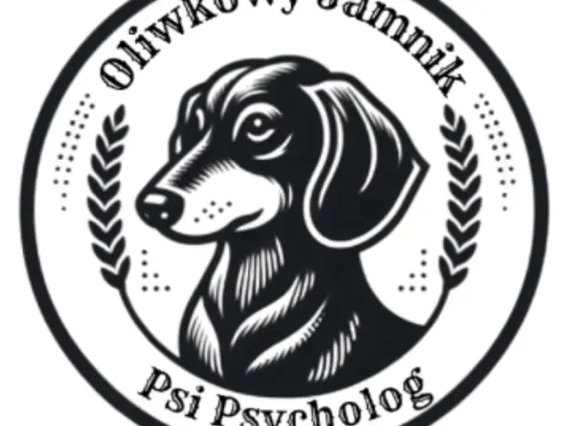 Szkolenie psów w Warszawie: gdzie szukać