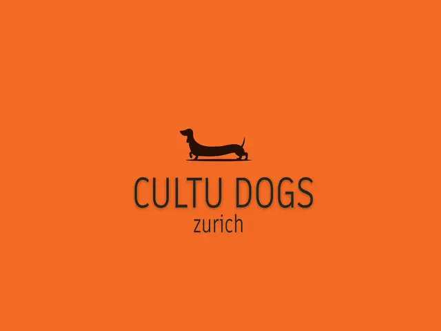 Hundesalon in Zürich: wo du suchen kannst