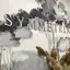 Symmetria-beauty