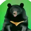 Moon Bear Massage and Acupuncture