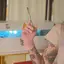 Piercing Duisburg
