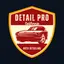 Detail Pro California Services