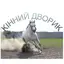 Кінний Дворик