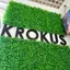 Студія Крокус
