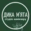 Дика М'ята