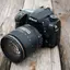 Ray's Photography