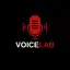 VOICELAB