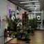 Blaze studio