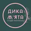 Дика М`ята