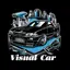 Visual Car