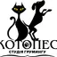 Студія грумінгу «Котопес»