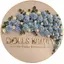 DOLLS BEAUTY