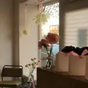 TO SAMOE place - manikúra, pedikúra, školení a obočí v Brně