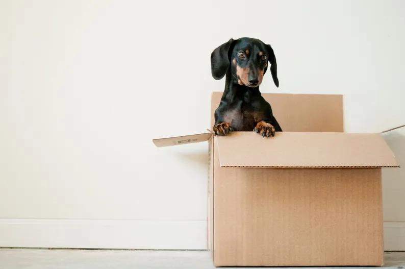 Self-storage