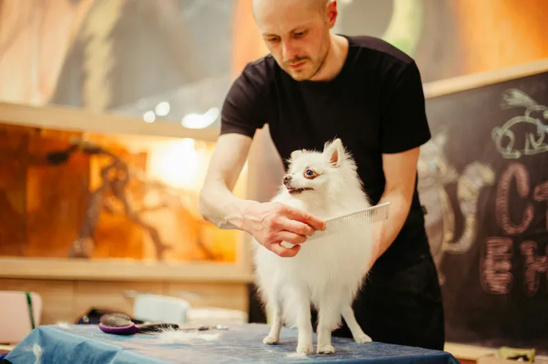 Online appointments for groomers