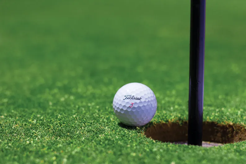 Golf club as a business idea