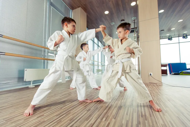 Martial arts academy