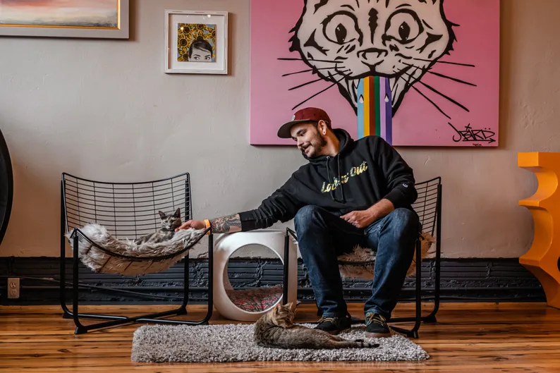 Cat coffee shop in London