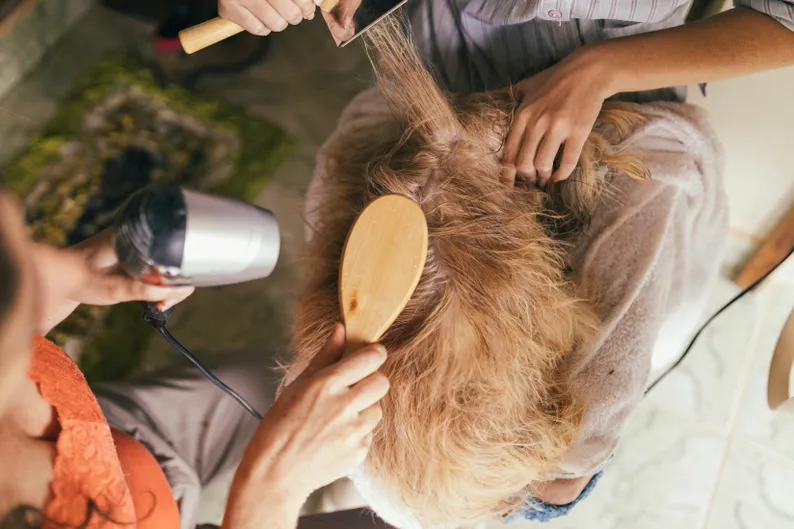 Grooming software