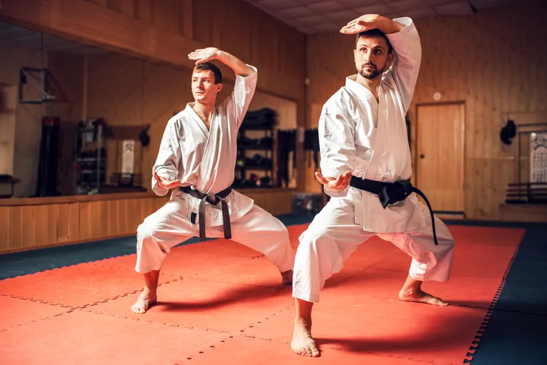 Martial arts school