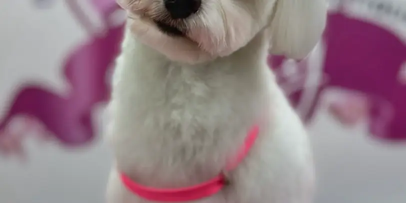 Betty photo 148