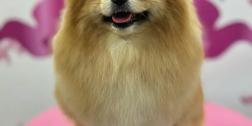 Betty photo 130
