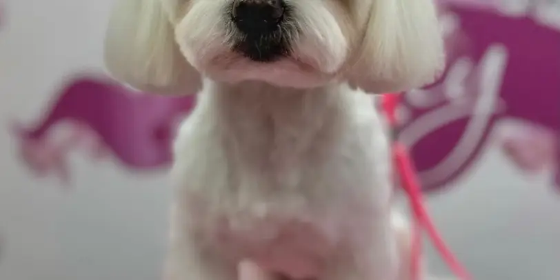 Betty photo 133