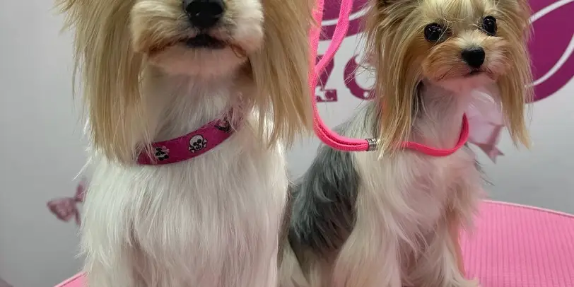 Betty photo 136