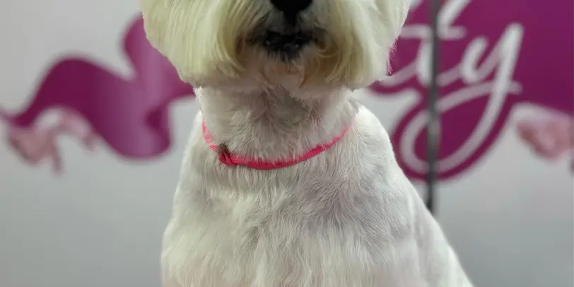 Betty photo 151