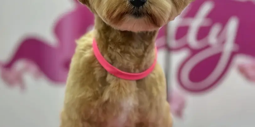 Betty photo 154