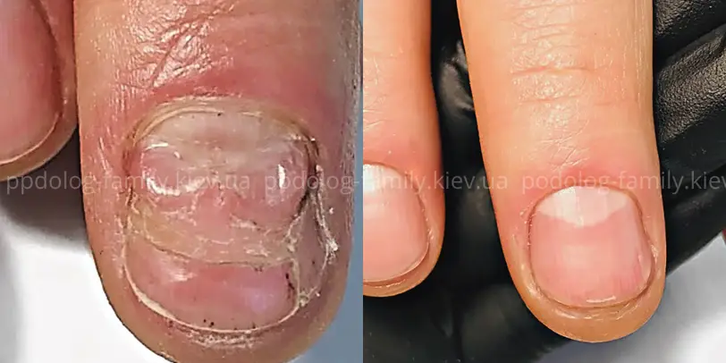 Podolog Family photo 13