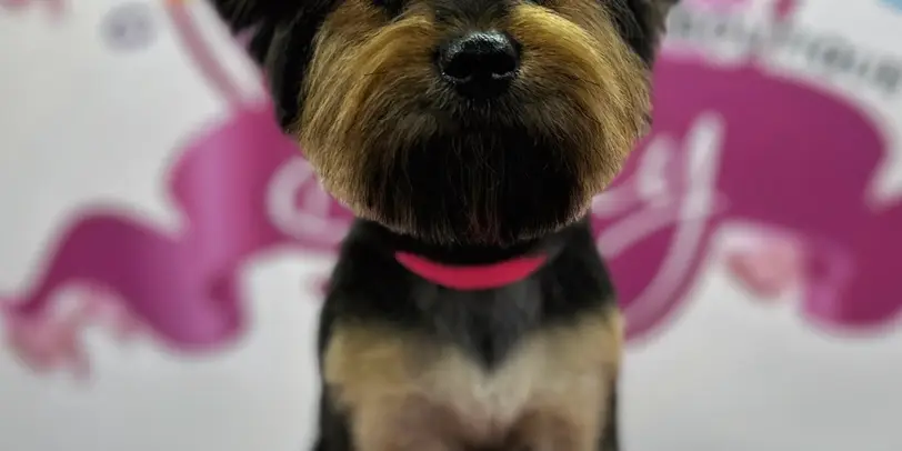 Betty photo 100