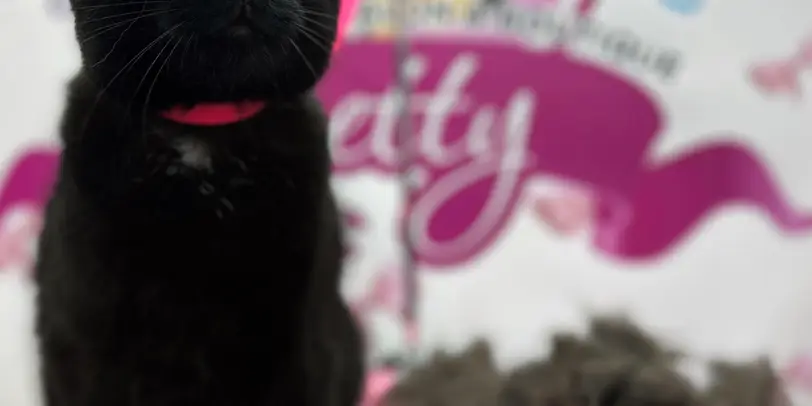 Betty photo 103