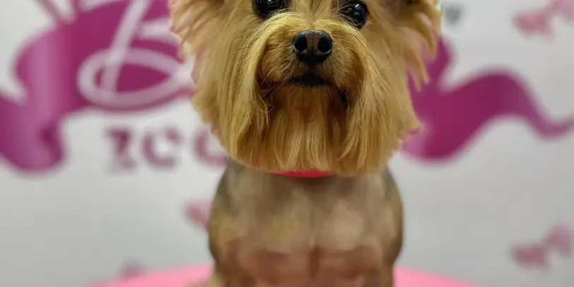 Betty photo 106