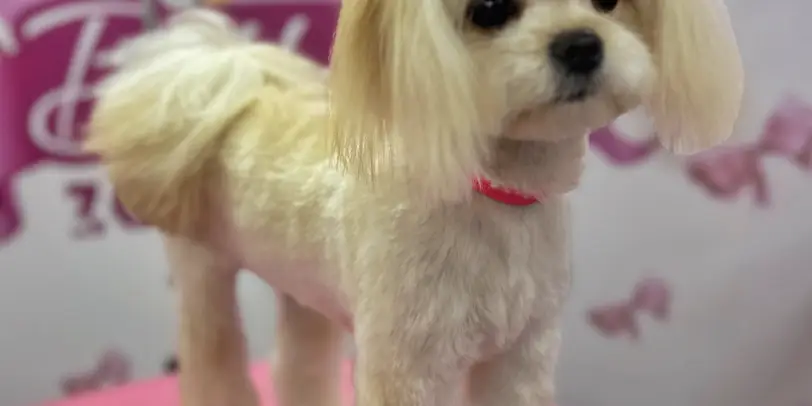 Betty photo 109