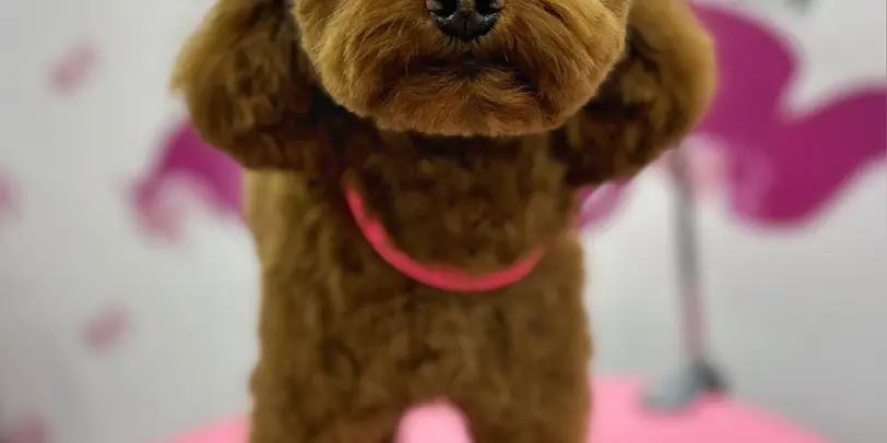 Betty photo 112