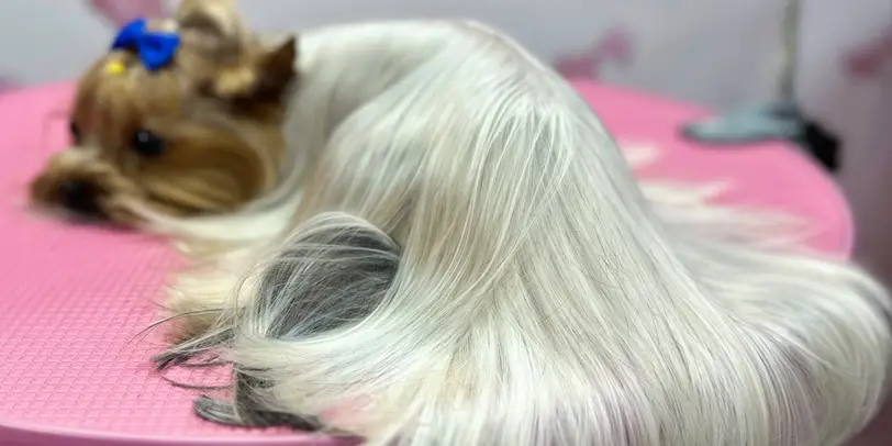 Betty photo 115